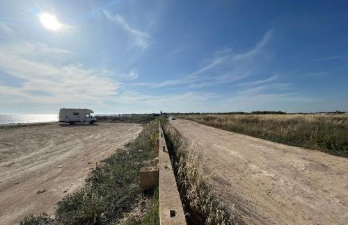 Nespolilla - Foto 21