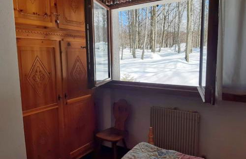 Appartamento Piancavallo - Foto 18