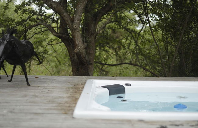 Villa Scarabee in Hoedspruit - Foto 41