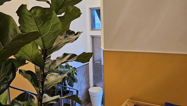 LM Art Apartments - Foto 4, Recepción