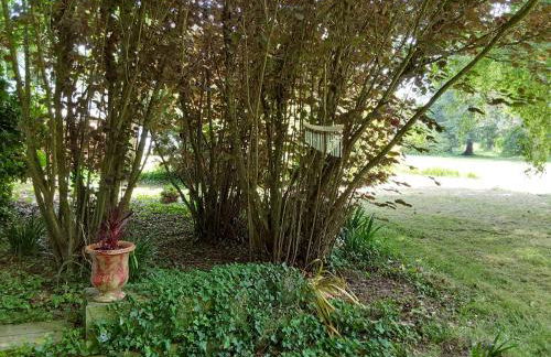 Couleur Jardin - Foto 11