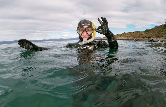 Snorkelling in the Beagle Channel - Photo 3