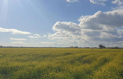 Casa Tejo by Valada Village - Foto 50