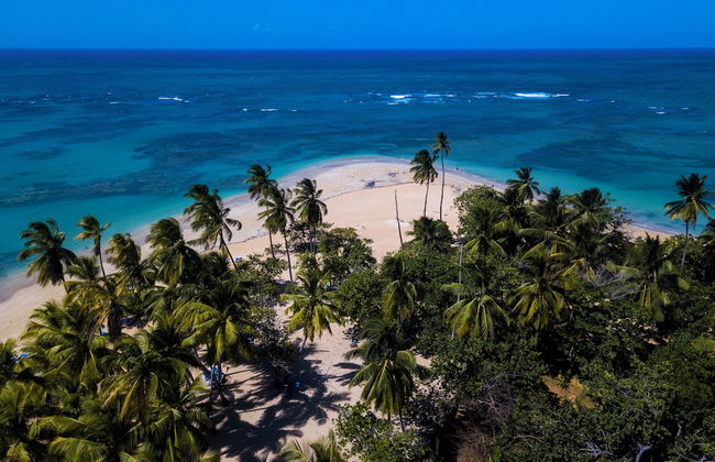 Aligio Aparthotel Beachfront - Foto 57