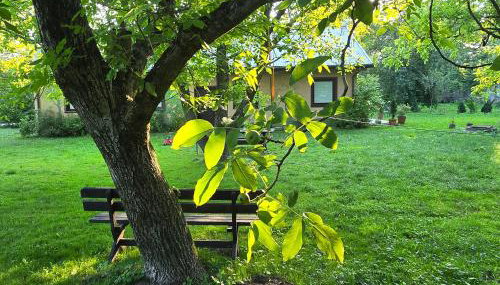 Malowane Domy - Photo 4