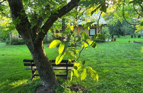 Malowane Domy - Foto 4