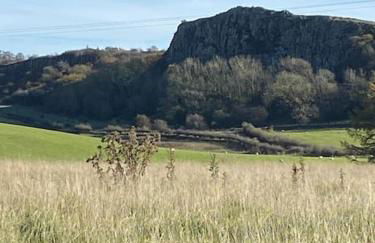 North Farm - Foto 20