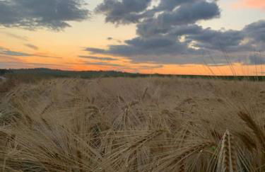 Aux couleurs de la Baie à Sailly-Bray - Foto 28