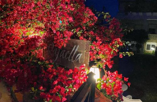 Despoina's Maisonette at Rafaella Resort - Foto 3