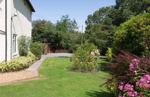 The Big Dingle - Foto 28