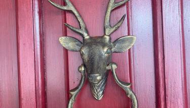 D&S home oinofita - Foto 2