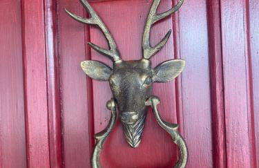 D&S home oinofita - Foto 2