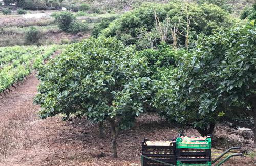 Finca El Vergel Rural - Photo 11