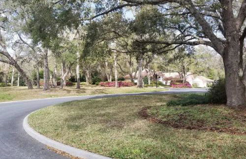 Black Diamond Beauty with Concierge Service - Photo 27