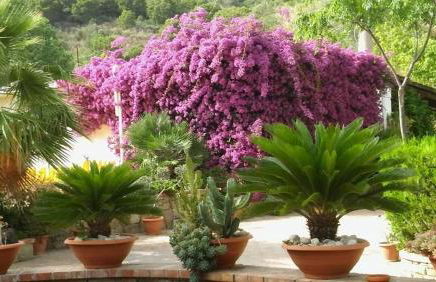 Villaggio Soleado - Foto 20