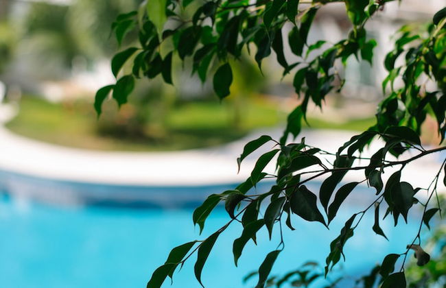 Real del Carmen 202 Playacar by Myrica - Foto 23