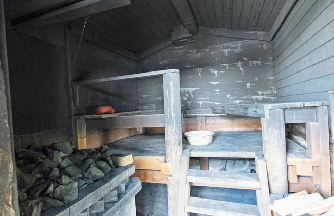 Heinäsorsa - Foto 22