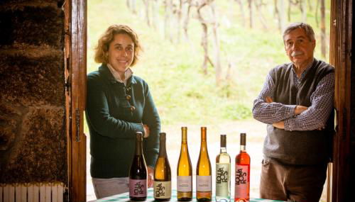 Quinta de Lourosa - Foto 5