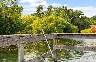 Harriet House - Foto 11