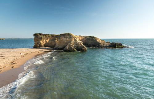 MysavinaHouse mobilhome 4 à 6 pers camping 4 Etoiles - Foto 37