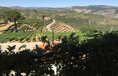 Quinta dos Espinheiros - Photo 63