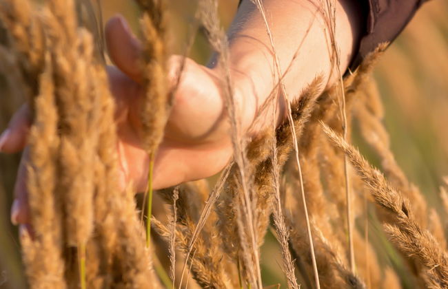 Curitiba Beer Tour - Photo 1