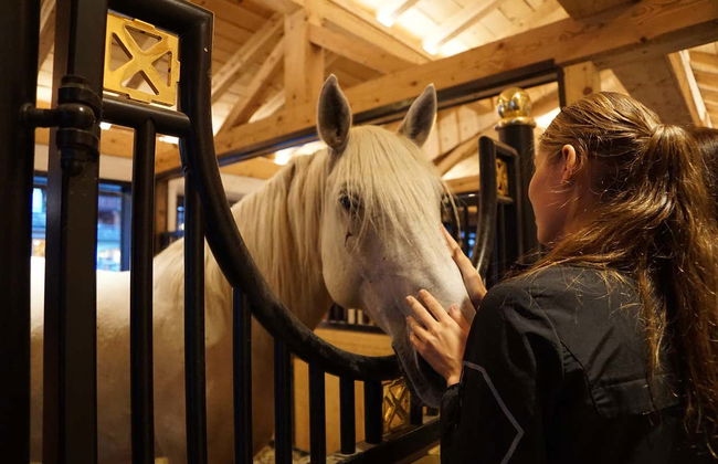 Excursão a Lipica e grutas de Skocjan - Foto 3