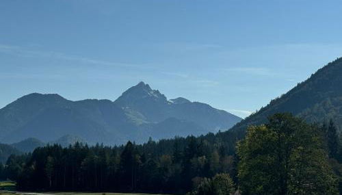 Ferienwohnung Schmetterer - Foto 3