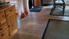 Zur Meeroase - Foto 5