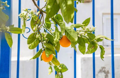 Karpathos View Villa - Foto 26