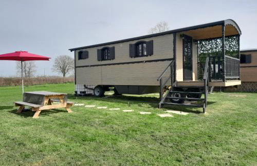 L'Insolite de Nathcy - Foto 1