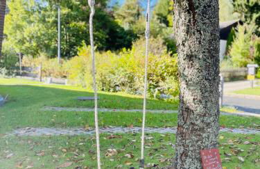 Glücksfleckerl - Foto 19