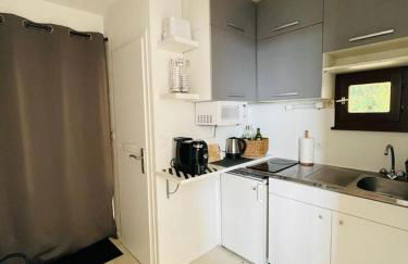 F2 près débarcadère, en centre ville, des thermes EVIAN LES BAINS 2 étoiles - Foto 10