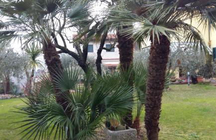 CASA MA.RI - Foto 13