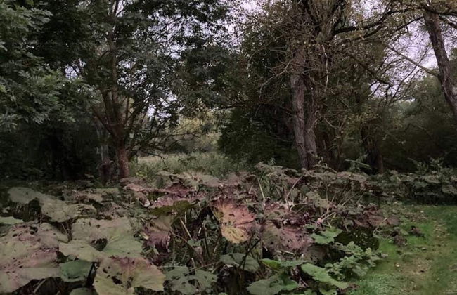 4 Person Holiday Home in Faxe Ladeplads-by Traum - Foto 11