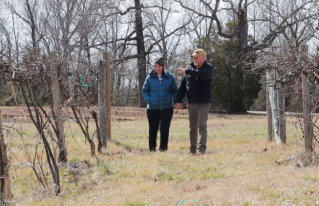 The Maple Retreat at Park Mammoth - Foto 14