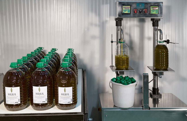 Visite du moulin à huile Hejul avec dégustation - Photo 6