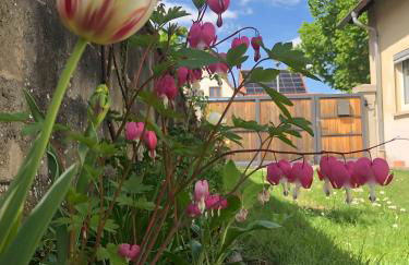 Mein Ferienhaus Rosenbusch 1 - Foto 16