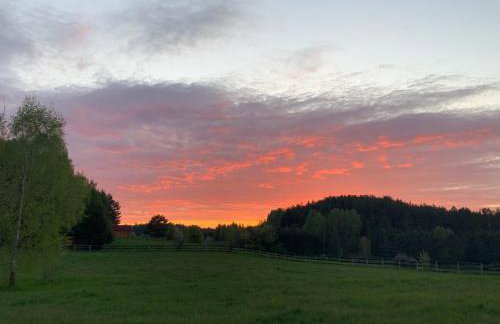 DOMY na GÓRCE - Photo 15