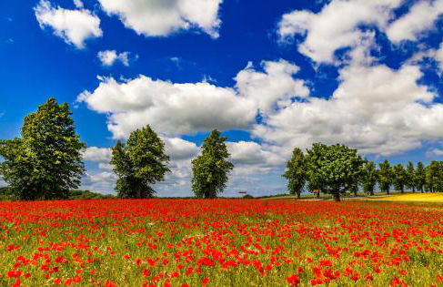 Ferienwohnung Düne mit Kamin und 2 Bädern in Boltenhagen - Foto 47