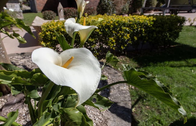 Casa Rural as Bentinas - Foto 78