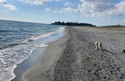 Casetta al mare MariaTeresa - Foto 20