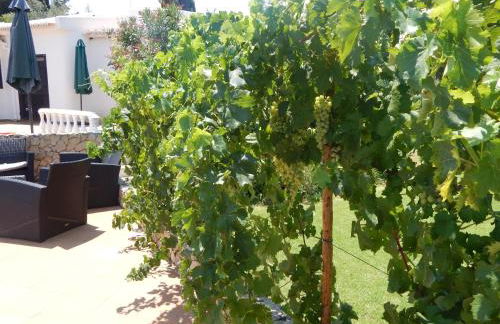 Villa Sol e Mar Private pool & jacuzzi - Photo 78