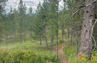 Little Cabin in the Woods. - Foto 40