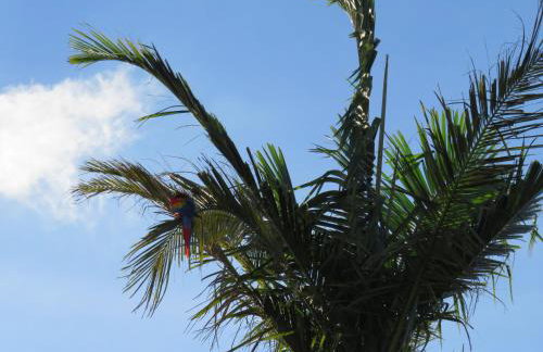 Casa Paraíso com área Goumet Caipira - Foto 42