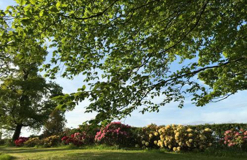 Loaninghead Holidays - Foto 29