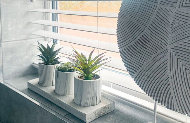 Phoenix House - Photo 21