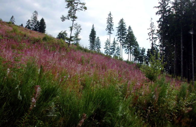Modern Apartment in Sauerland With Balcony - Foto 76