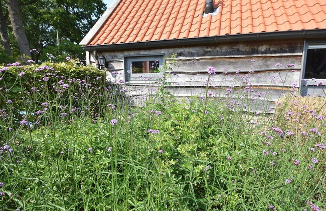 Holiday Home in Reest Valley Near Forest & Pond - Foto 45