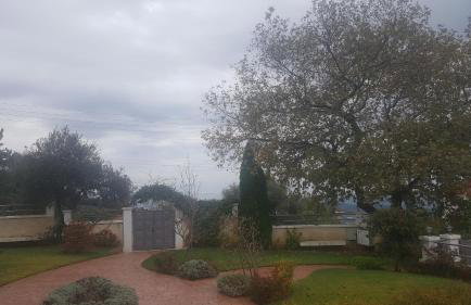 Guesthouse Michobeis - Foto 39